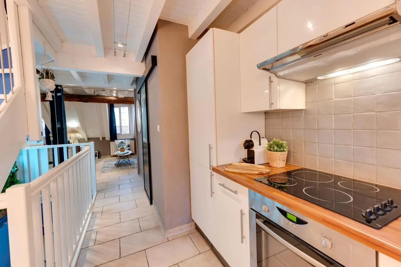 Apartment Carnot On The Roof 2 - 4 Personnes Lac At 400M Annecy