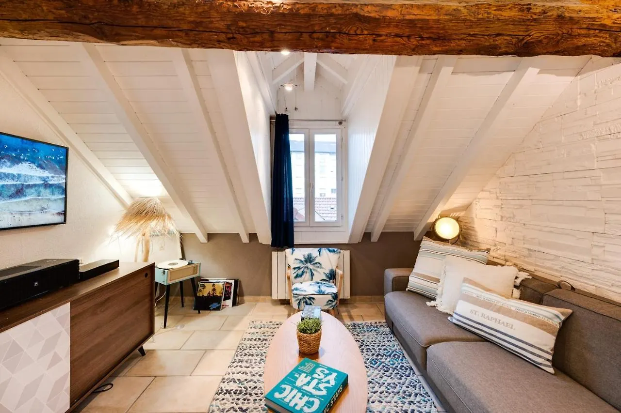 Apartment Carnot On The Roof 2 - 4 Personnes Lac At 400M Annecy