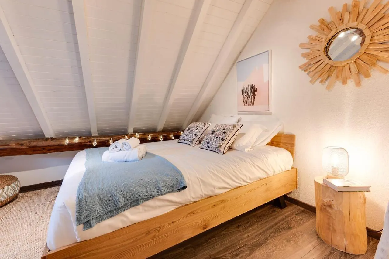Apartment Carnot On The Roof 2 - 4 Personnes Lac At 400M Annecy