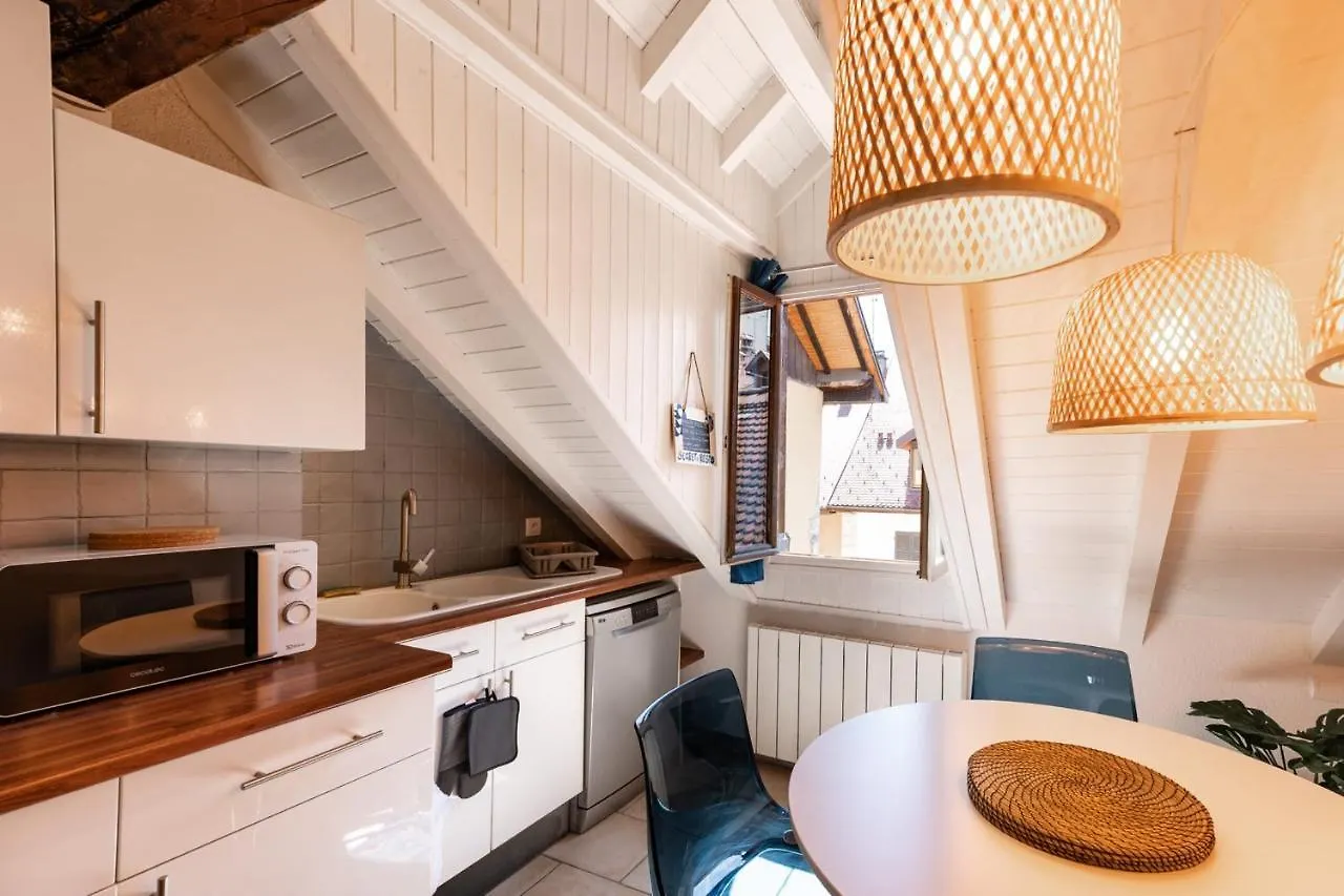 Apartment Carnot On The Roof 2 - 4 Personnes Lac At 400M Annecy France