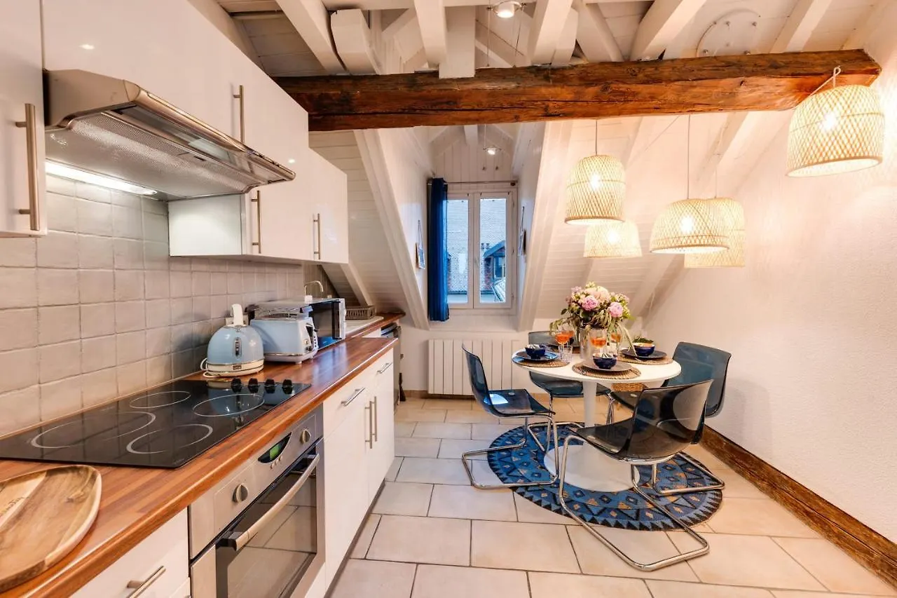 Carnot On The Roof 2 - 4 Personnes Lac At 400M Annecy Apartment